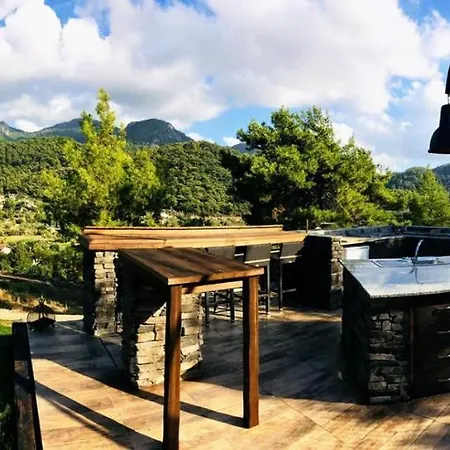 Splendid Vacation Homes With Pool And Garden In Marmaris Villa