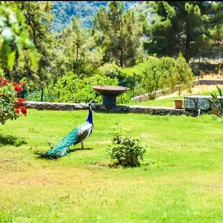 Splendid Vacation Homes With Pool And Garden In Marmaris *